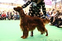 Crufts2011_2 109